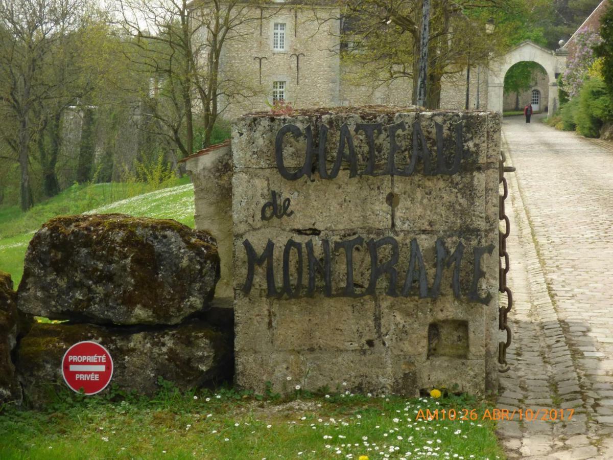 Château de Montramé Soisy-Bouy Exterior foto