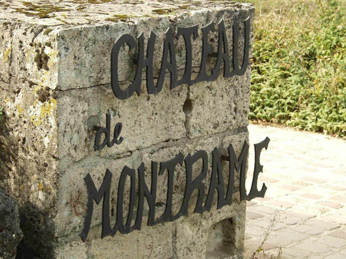 Château de Montramé Soisy-Bouy Exterior foto